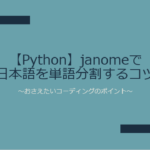 【Python】janomeで日本語を単語分割するコツ～おさえたいコーディングのポイント～